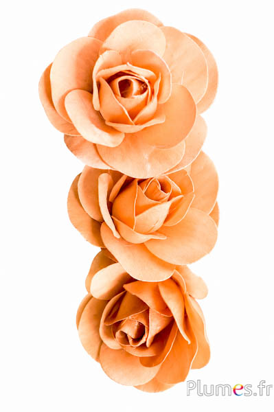 Holzrose - Ø 8 cm - creme